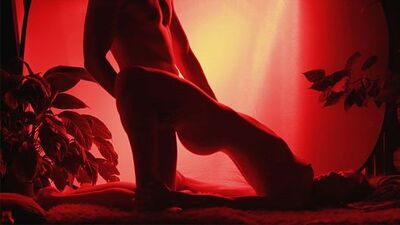 Sensual Silhouette Porn - thesexsex.com